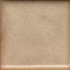 Coyote Enduro-Color Liner Glaze - MBG189pt - Beechnut - 16 oz.