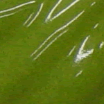 AMACO Celebration Glaze - HF-142 - Chartreuse - 1 pint