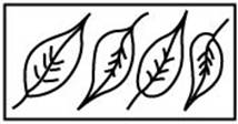 MKM Stamps - Medium Rectangles -  Srm-5
